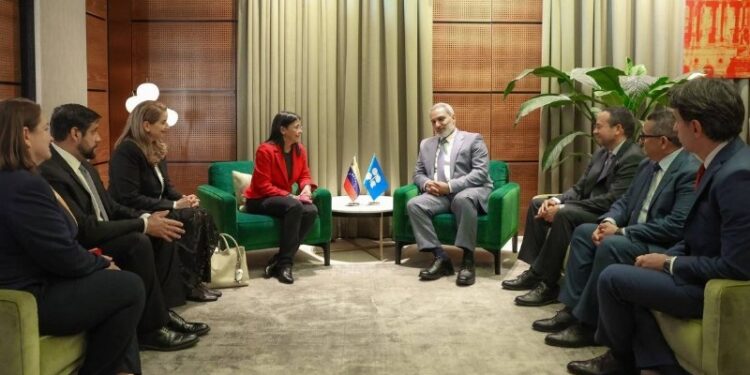 Austria: Delcy Rodríguez arribó a Viena para participar en el noveno seminario internacional de la OPEP