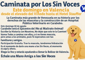 Valencia se prepara para la caminata más grande de Venezuela en defensa de «Los Sin Voces»
