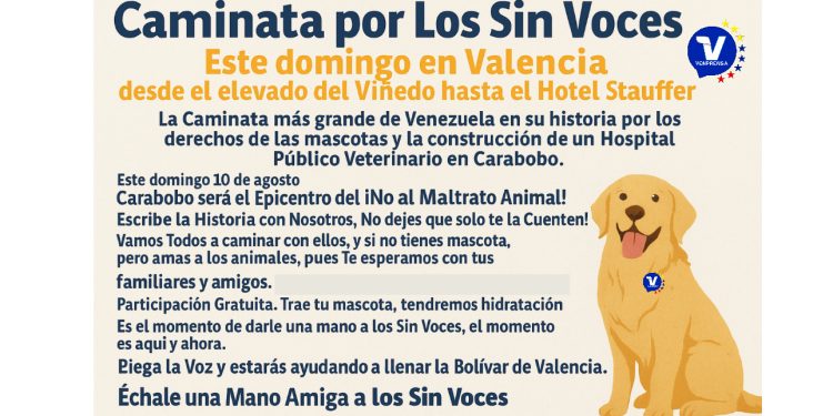 Valencia se prepara para la caminata más grande de Venezuela en defensa de «Los Sin Voces»