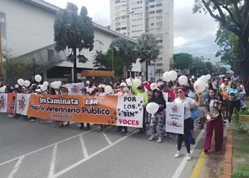 Alcaldesa Dina Castillo dio el sí, y aceptó reunión este lunes para la propuesta de crear un Hospital Veterinario Público en Valencia