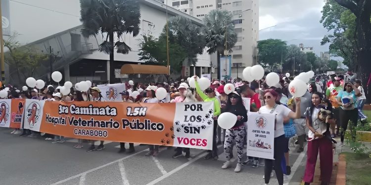 Alcaldesa Dina Castillo dio el sí, y aceptó reunión este lunes para la propuesta de crear un Hospital Veterinario Público en Valencia