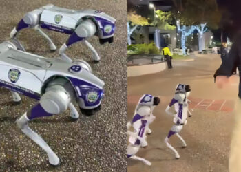 Chacao: alcalde Duque mostró los nuevos Perros Robóts Policías que tendrán labores de vigilancia (+ Video)